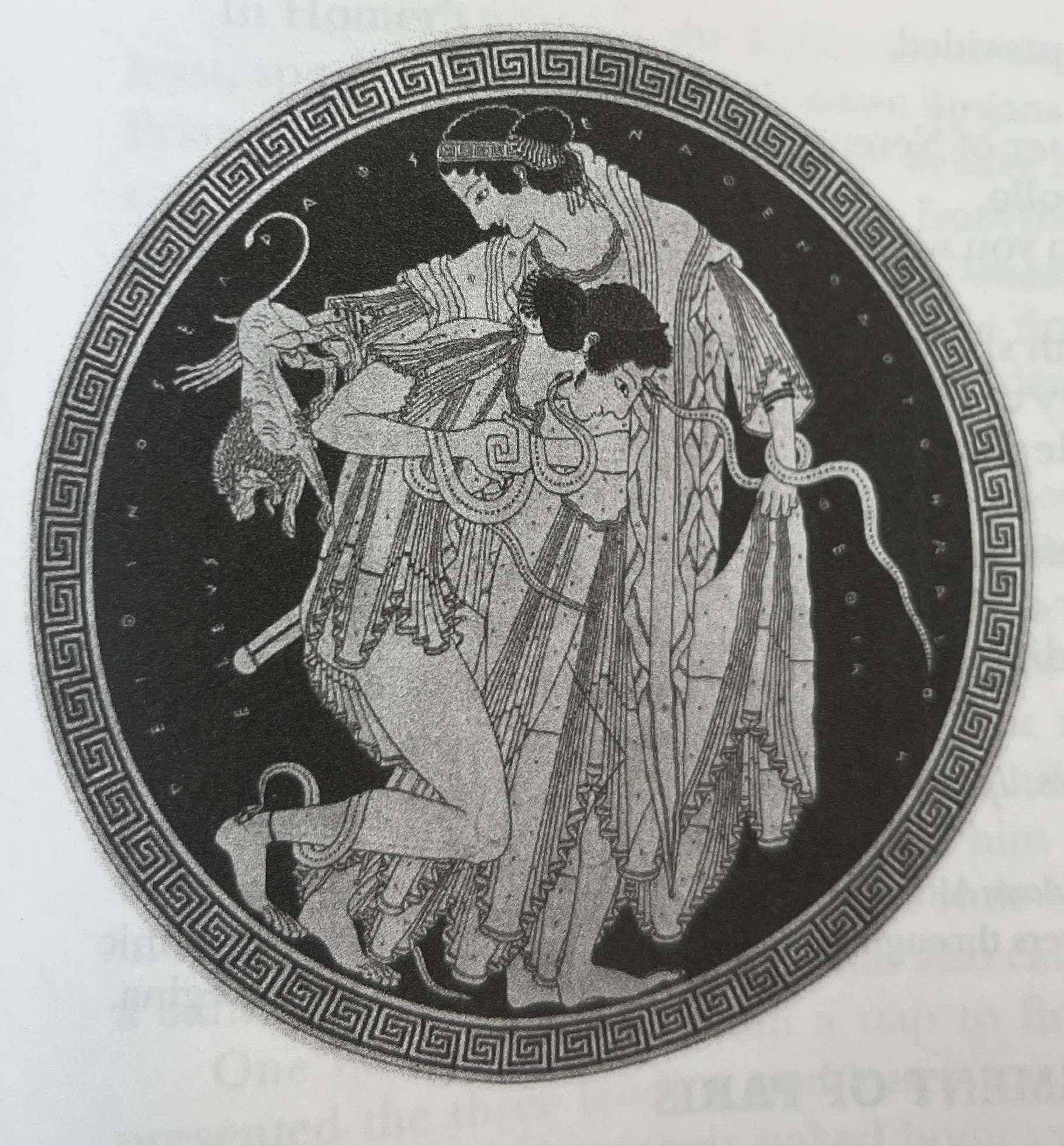 term image