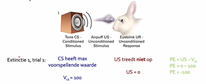 <p>begin extinctie </p><p>Vsc = 100, alles is al geleerd</p><p>US = 0 </p><p>PE 0-100=-100 wordt negatief!!</p><p>komt uit de formule negatief getal > betekent dat we die voorspellende waarde moeten afbouwen</p>