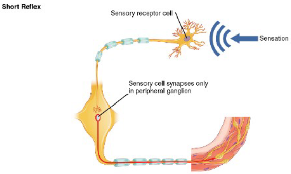 <p><span><span>When the signals and reactions are entirely controlled by the ENS</span></span></p>