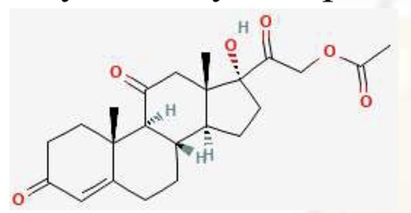 <p>What is this drug and what is it used to treat</p>
