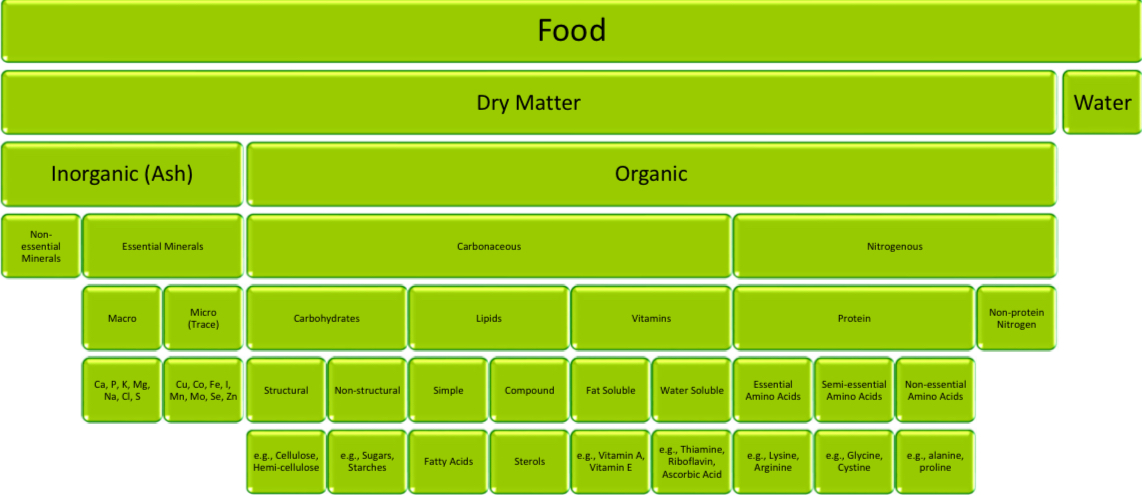 <ul><li><p style="text-align: left;">Dry matter and water</p></li><li><p style="text-align: left;">Inorganic</p><ul><li><p style="text-align: left;">Non vs Essential Minerals (Macro vs Micro)</p><ul><li><p style="text-align: left;">Macro: Ca, P, K, Mg, Na, Cl, S</p></li><li><p style="text-align: left;">Micro: Cu, Co, Fe, I, Mn, Mo, Se, Zn</p></li></ul></li></ul></li><li><p style="text-align: left;">Organic</p><ul><li><p style="text-align: left;">Carbonaceous</p><ul><li><p style="text-align: left;">Carbs:</p><ul><li><p style="text-align: left;">structural (Cellulose, Hemi-cellulose)</p></li><li><p style="text-align: left;">Non structural (Sugars, Starches)</p></li></ul></li><li><p>Lipids</p><ul><li><p>Simple (fatty acid) vs compound (sterols)</p></li></ul></li><li><p>Vitamins</p><ul><li><p>Fat soluble (A,E)</p></li><li><p>Water soluble (Thiamine, Riboflavin, Ascorbic Acid)</p></li></ul></li></ul></li><li><p>Nitrogenous</p><ul><li><p>Protein vs non protein</p><ul><li><p>Essential (lysine, arginine) semi (glycine, cystine) and non essential (alanine, proline) amino acids</p></li></ul></li></ul></li></ul></li></ul><p style="text-align: left;"></p><p></p>