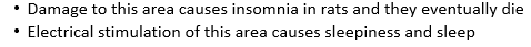 <ul><li><p><span>Constantine von Economo - early 20<sup>th</sup> century observed patients with encephalitis</span></p></li><li><p><span>observed damage in an area of the anterior hypothalamus </span></p></li><li><p>this area was later identified as the ventro-lateral preoptic area which contains inhibitory neurotransmitters such as GABA</p></li></ul>
