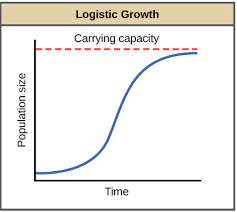 <p>population growth is limited by carrying capacity (K)</p><p>fits the growth of real populations</p>