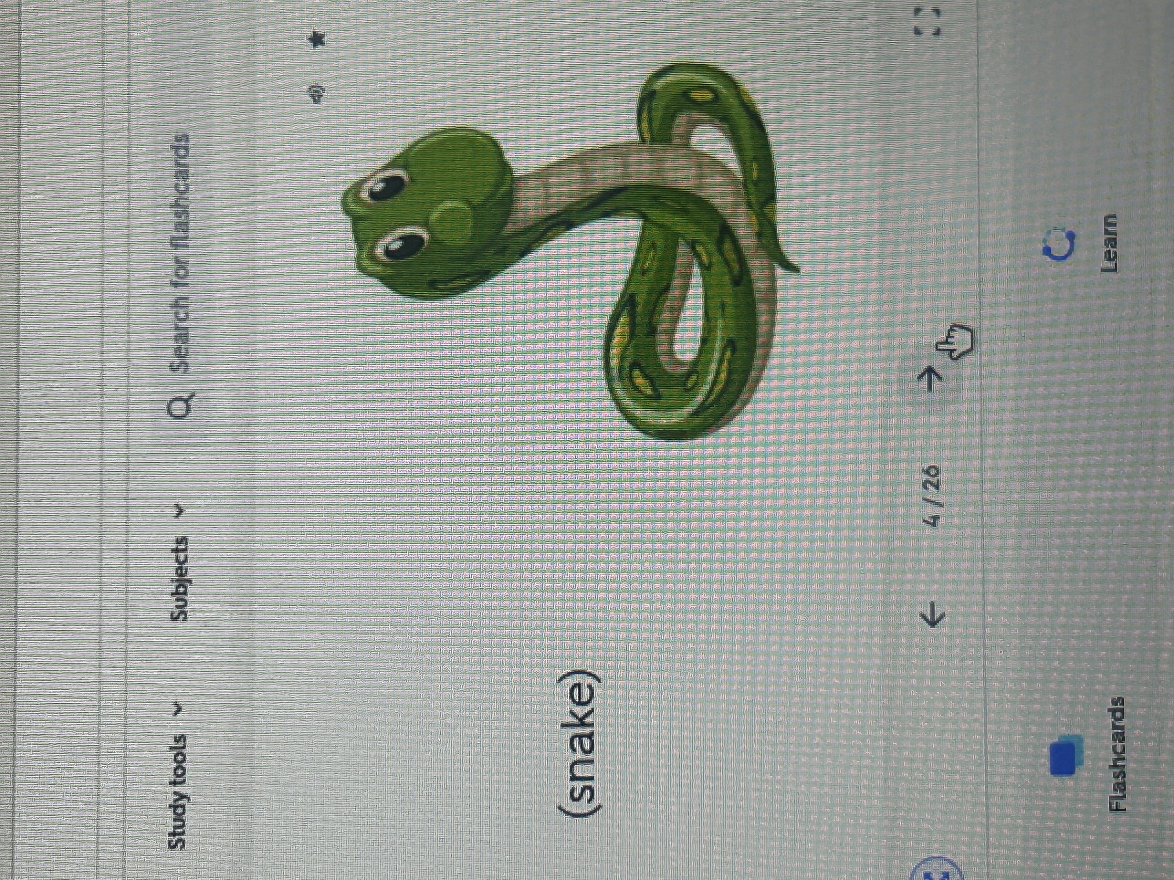 knowt flashcard image