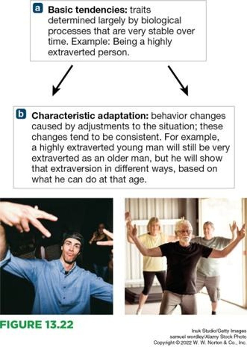 <p>Changes in behavioral expression of basic tendencies based on the demands of specific situations.</p>