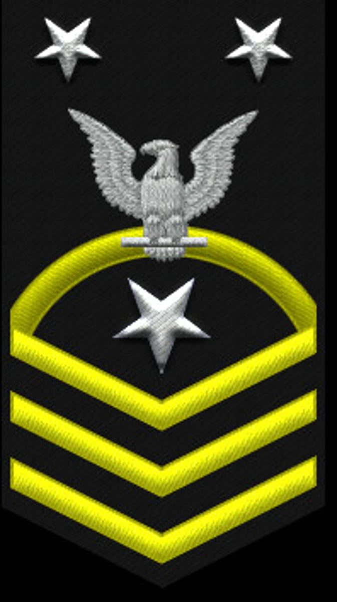 <p>2 Silver Stars, Silver USN on a gold fouled anchor</p><p>2 Silver Stars</p><p>Perched Eagle</p><p>1 Rocker</p><p>1 SILVER Star</p><p>3 Chevrons</p>