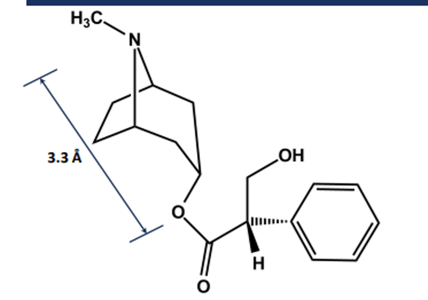 <p>-S-(-)-Hyoscyamine</p><p>- From Atropa Belladonna</p><p>- Chiral in its natural state</p><p>-called atropine when racemized upon isolation</p><p>- LogP = 1.6; pKa = 9.4</p><p>- Uses: Mydriatic agent (eye drops), organophosphate antidote</p><p>- Ester is hindered so not affected much by AChE, which accounts for 3 hours half life</p><p>- Long-acting systemic effects</p>