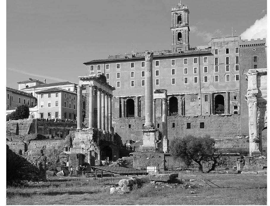 term image