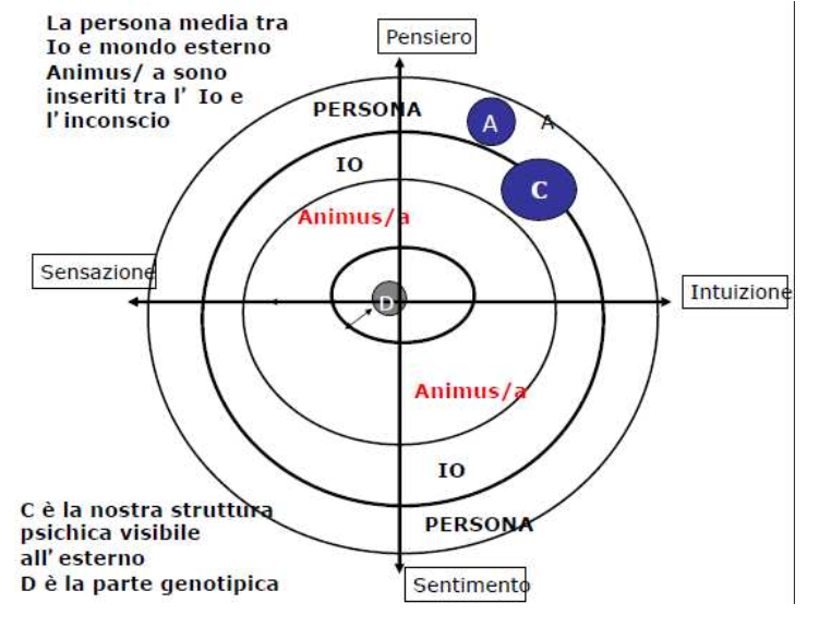 <ul><li><p><span>E’ l’individualità, il </span><strong>centro e la totalità della psiche → comprende parti conscie e inconsce </strong></p></li><li><p><span>Integrare le varie parti della personalità (Io, Persona, Ombra, Anima/Animus) </span></p></li><li><p>Per la realizzazione del Sé è necessario il percorso di individuazione </p></li></ul><p></p>