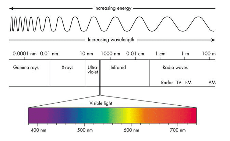<ol><li><p>Gamma rays</p></li><li><p>X-ray waves</p></li><li><p>Ultraviolet waves</p></li><li><p>Visible light waves</p></li><li><p>Infrared waves</p></li><li><p>Microwaves</p></li><li><p>Radio waves</p></li></ol><p></p>