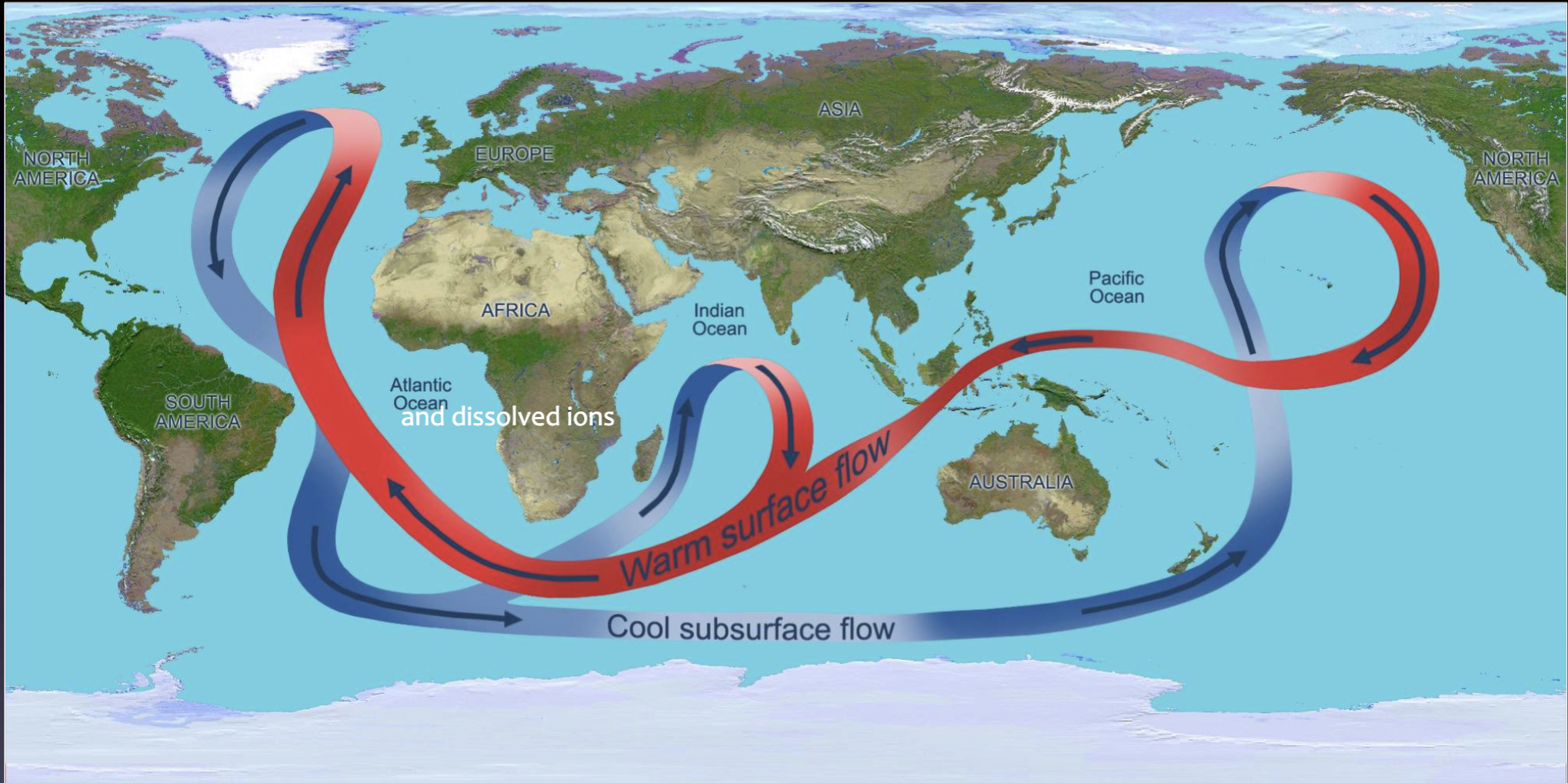 <p>Transfers heat and nutrients and brings O2 to deep water</p>