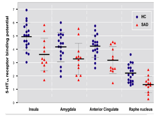 <p>Use Charts of 5-HT1A Receptor Binding To Evaluate The Role of Serotonin in Anxiety as well as Potential For Serotonergic Treatments.</p>