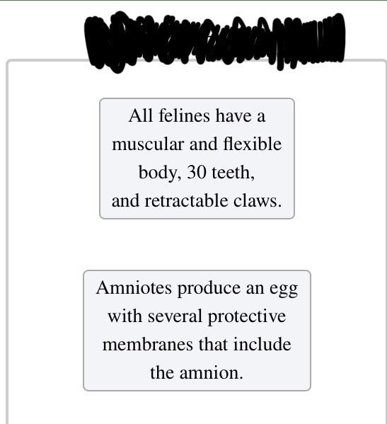 <p>Classify each scenario as describing convergent evolution, evolutionary reversal, or a synapomorphy.</p>