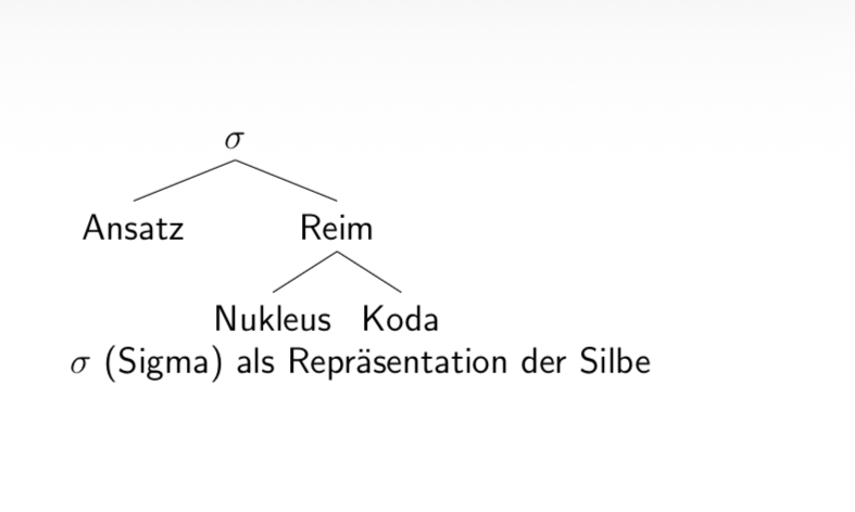 <p><span>Konstituenten der Silbe</span></p>