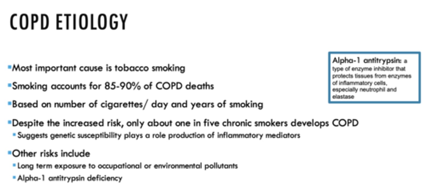 <p>- Long term exposure to occupational or environmental pollutants</p><p>- Alpha-1 antitrypsin deficiency</p>