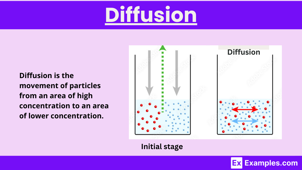 <p>Simple </p><ul><li><p>Passive</p></li><li><p>Moves down the concentration gradient</p></li><li><p>No ATP required</p></li><li><p>No transport proteins</p></li><li><p>Small, non-polar molecules (e.g. O₂, CO₂)</p></li></ul><p>Facilitated</p><ul><li><p>Passive</p></li><li><p>Moves down the concentration gradient</p></li><li><p>No ATP required</p></li><li><p>Requires transport proteins (channels or carriers)</p></li><li><p>Large, polar or charged molecules (e.g. glucose, ions)</p></li></ul><p></p>