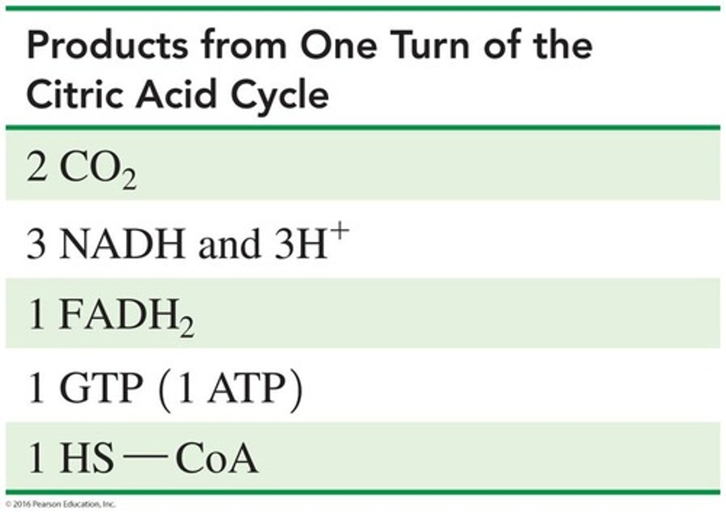 <p>Succinate and GTP (or ATP).</p>