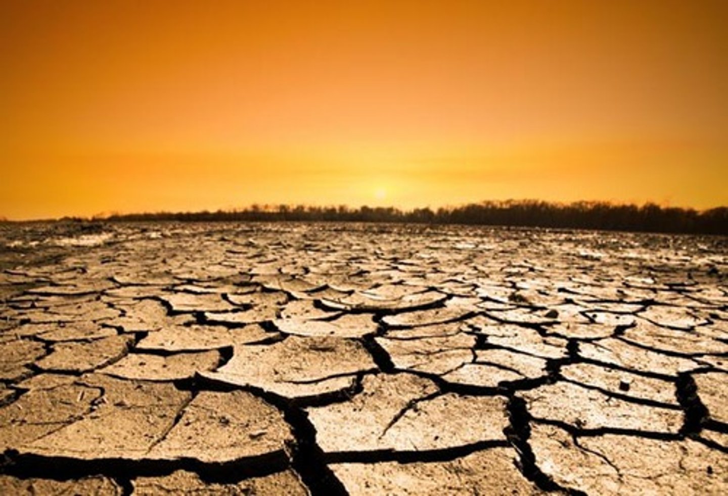 <p>dry, barren, sterile, waterless</p><p>건조한, 메마른</p>