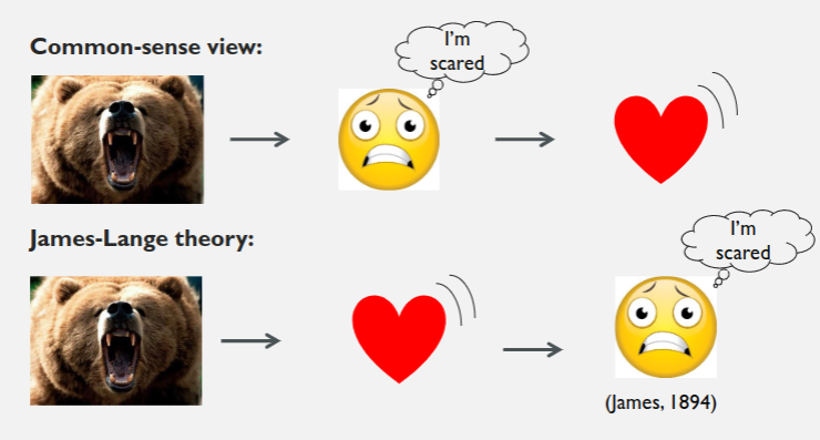 <p>Stimulating events trigger a physical reaction. The physical reaction is then labeled with a corresponding emotion.</p><p>Voor deze theorie is wel kritiek namelijk:</p><ul><li><p>arousal hoeft niet plaats te hebben gevonden voor emotie</p></li><li><p>dezelfde arousal → verschillende emotie</p></li><li><p>arousal kan te langzaam zijn</p></li></ul>