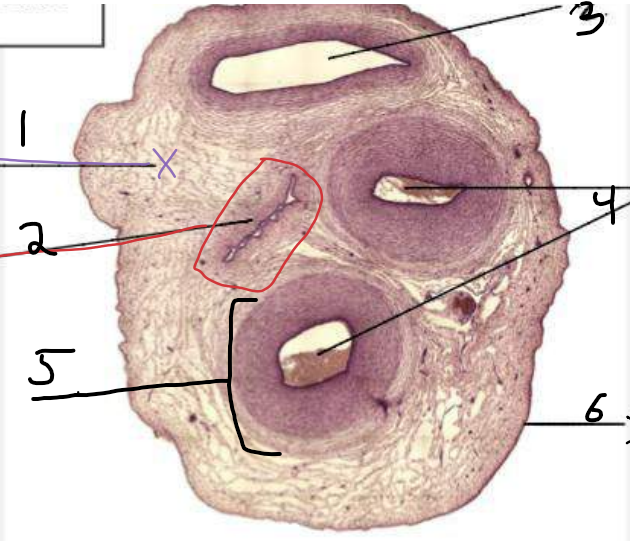 <p>Name of slide</p>