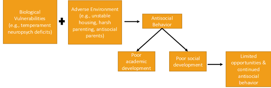 <p>Time course of Life-Course persistent antisocial behavior</p>