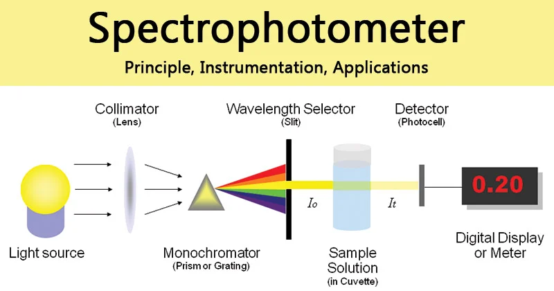 <p>Measures the amount of light that passes through or reflects off a sample to determine its color or the amount of chemicals in a solution</p><ul><li><p>Uses a diffraction grating to separate light into different wavelengths, which are each allowed to exit one at a time</p></li><li><p>The light passes through the sample</p></li><li><p>A detector measures the amount of light that passed through the sample (transmittance) and the amount absorbed (absorbance)</p></li></ul><p></p>