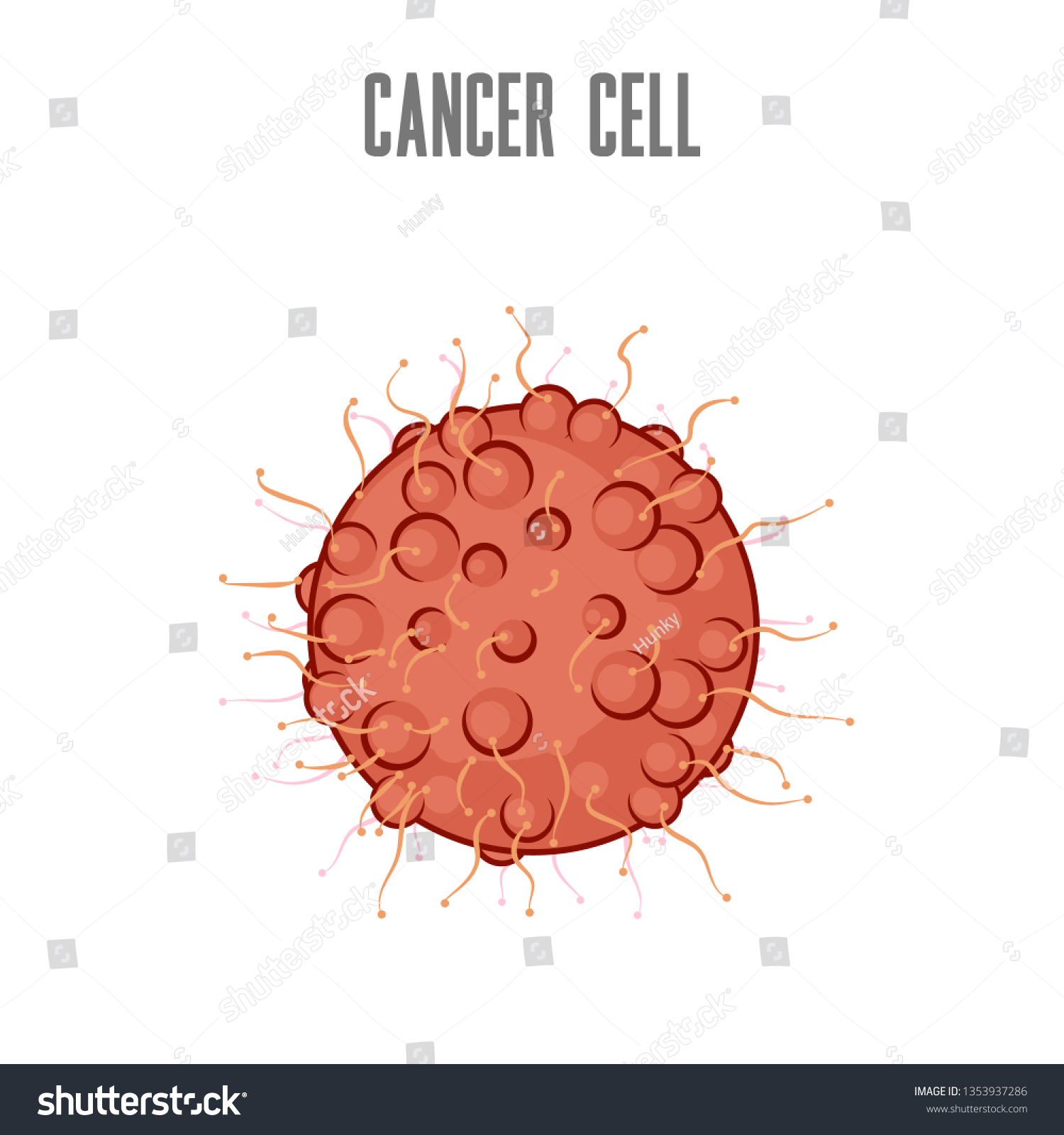 <p>Cancer</p>
