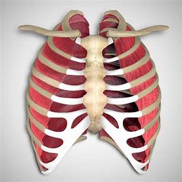 <p>what are theeeeeese?</p>