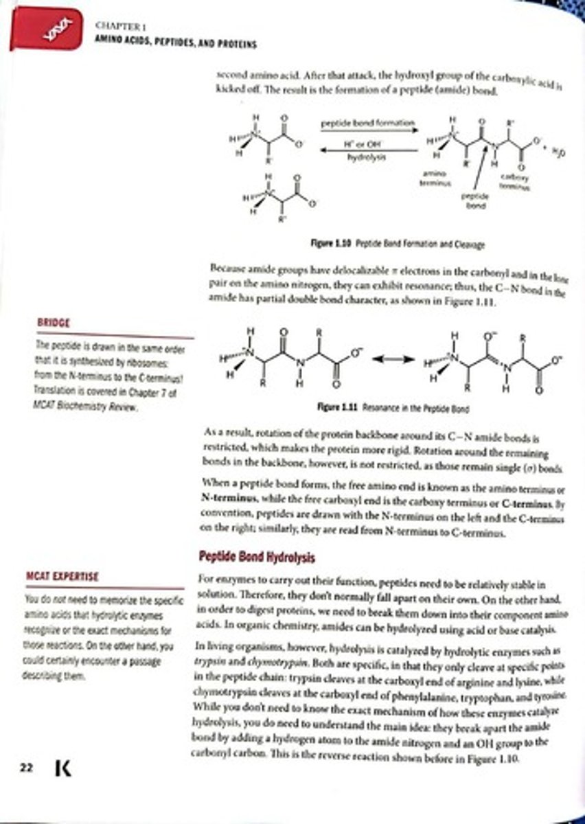 <p>Process of adding a base to an acid to determine pKa.</p>