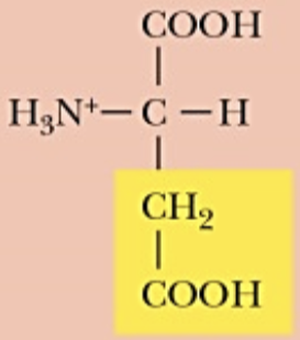 <p>Name (Abbr.) - polarity, a/n/b</p>