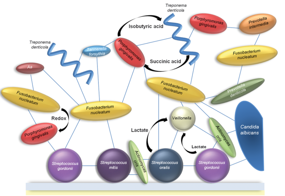 <p>what does this picture show u?</p>