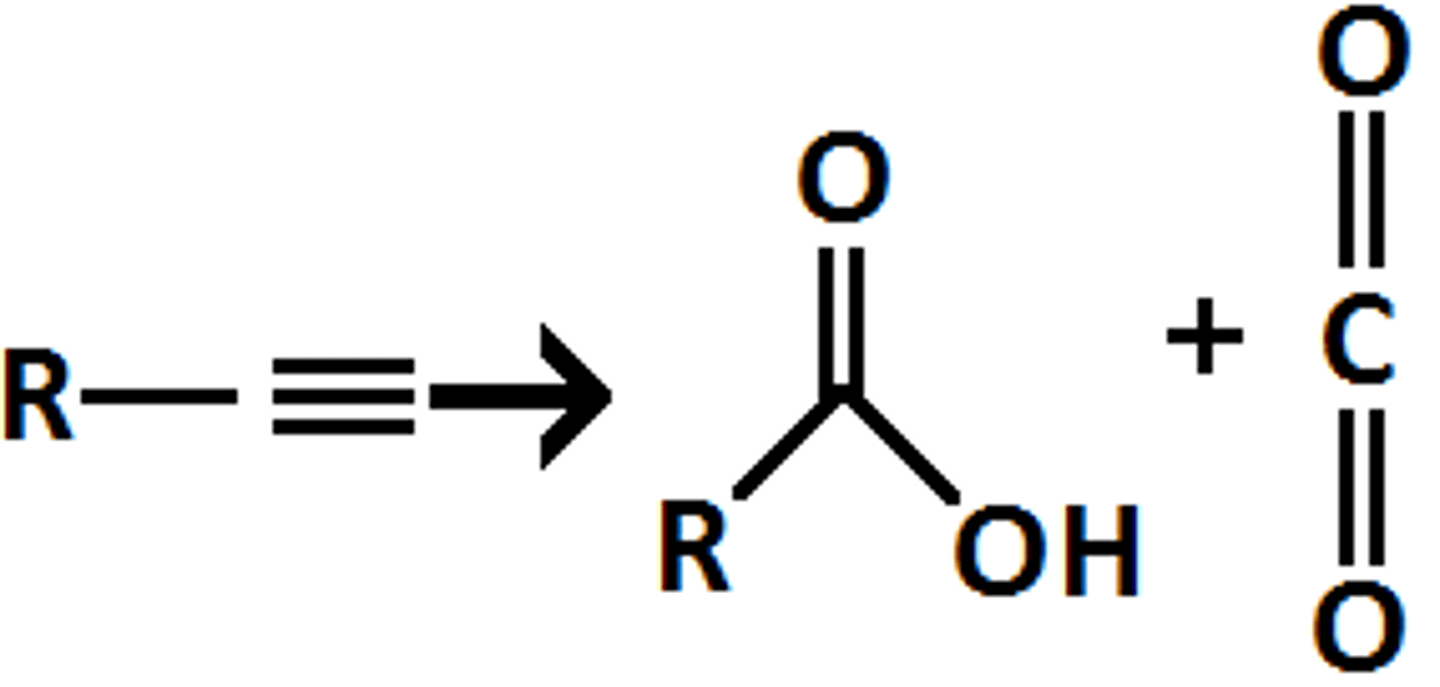 <p>The ending materials in a chemical reaction.</p>