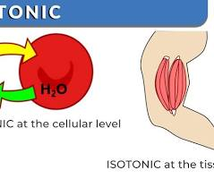 <p>Isotonic </p>