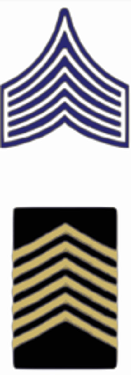 <p>6 Chevrons</p>
