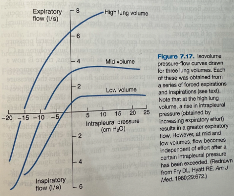 <ul><li><p><span>At high lung volumes, the expiratory flow rate continues to increase with effort</span></p></li><li><p><span>At mid or low volumes, the flow rate reaches a plateau and cannot be increased with further increase in the intrapleural pressure</span></p><ul><li><p><span>Under these conditions, flow is effort-independent</span></p></li><li><p><span>The reason for this behavior is dynamic airway compression (compression of the airways by intrathoracic pressure)</span></p></li></ul><p></p></li></ul><p></p>