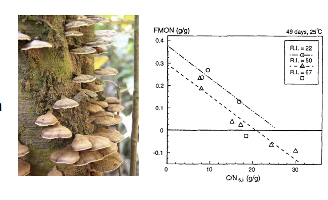 <p>what is<strong> nitrogen mineralization?</strong></p>