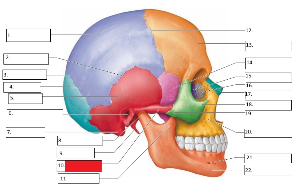 <p>10</p>