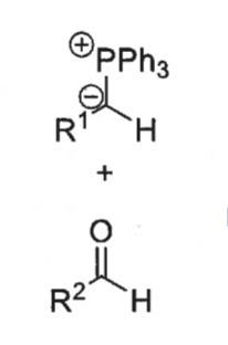 <p>possible intermediates of the wittig reaction</p><p>how does this first step happen</p>