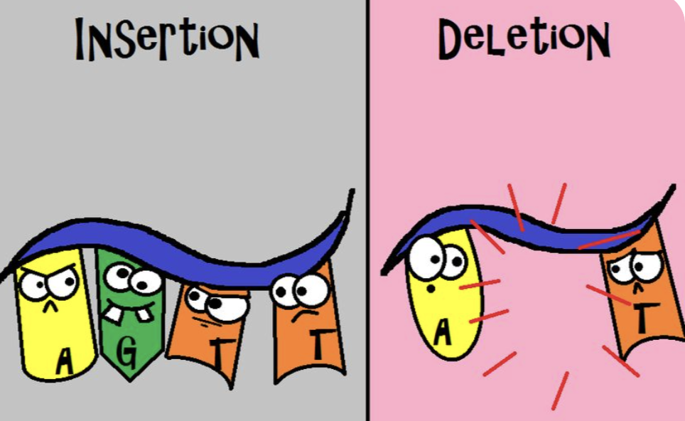 <p>deletion</p>