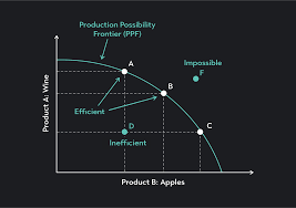 <p>what graph</p>