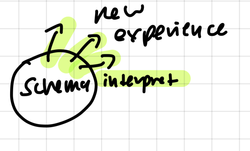 <p>take new info, interpret with existing schema</p><p>ex. every swimming thing is a fish</p>