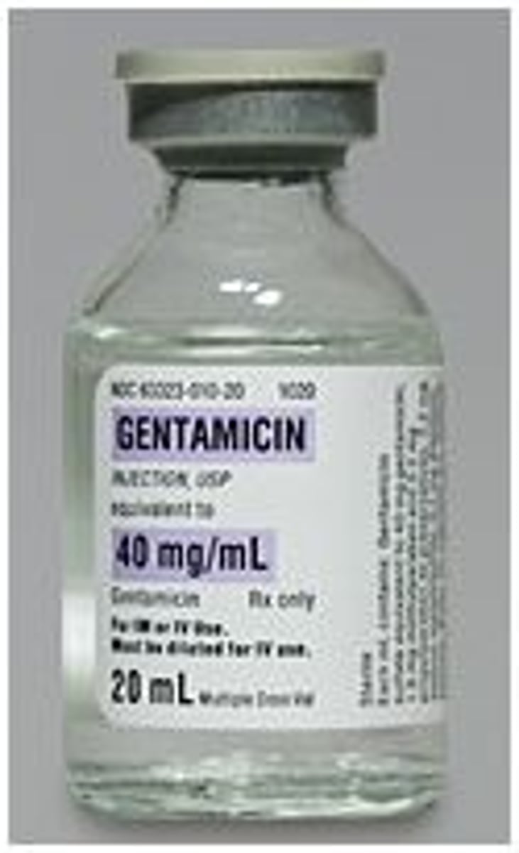 <p>genatmincin</p><p>amikacin</p><p>neomycin</p><p>trobramycin</p>