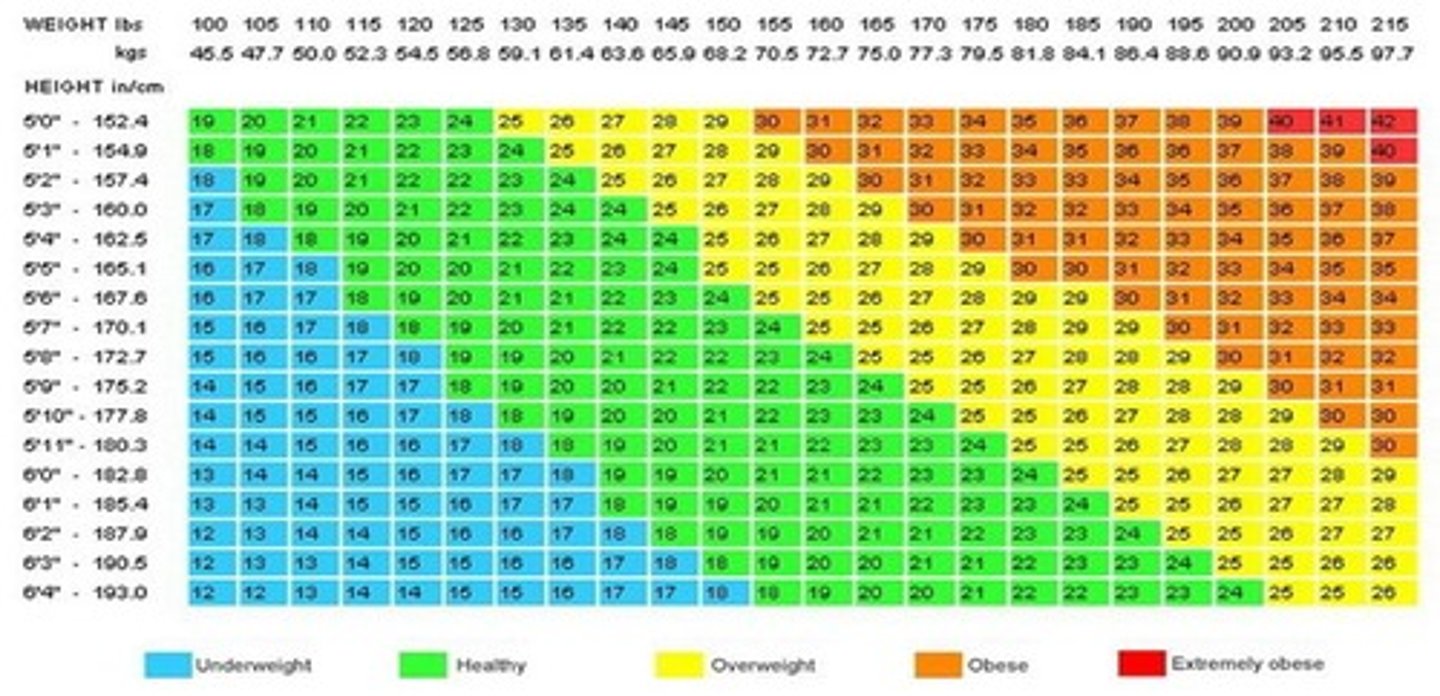 <p>A measure of body fat based on weight in relation to height, calculated using the formula: BMI = Weight (Kg) / [Height (m)]^2.</p>