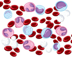 <p>(whole blood)</p>