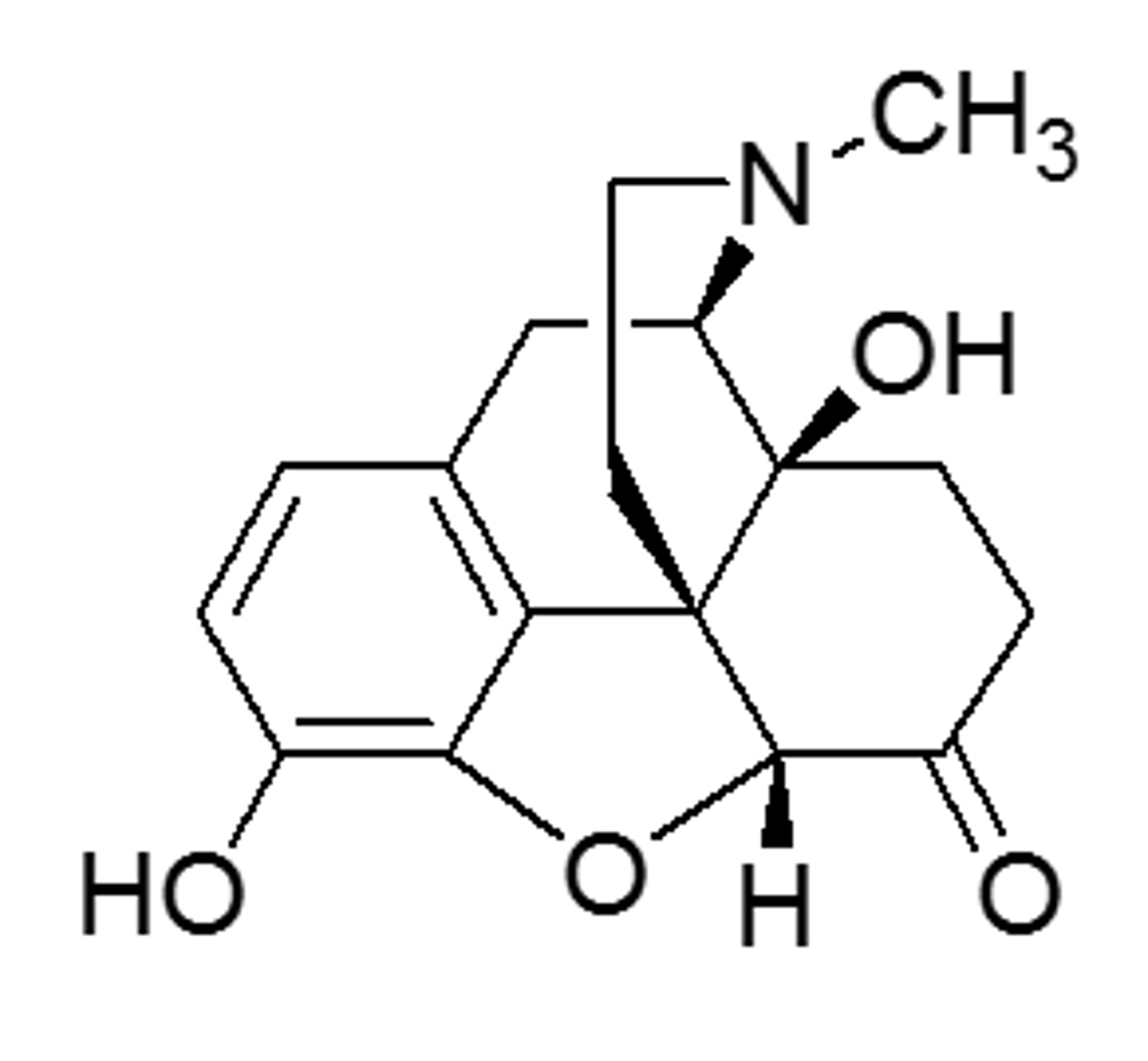 <p>more potent than morphine b/c of C ring ketone AND -OH</p>