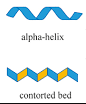<p>Second Stage of protein structure</p><ul><li><p>slight folding, beginning of modification</p><ul><li><p>Hydrogen bonds form alpha-helices (twists) and beta-pleated sheets (folds)</p></li></ul></li></ul><p></p>