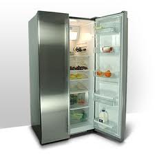 <p>the refrigerator</p>