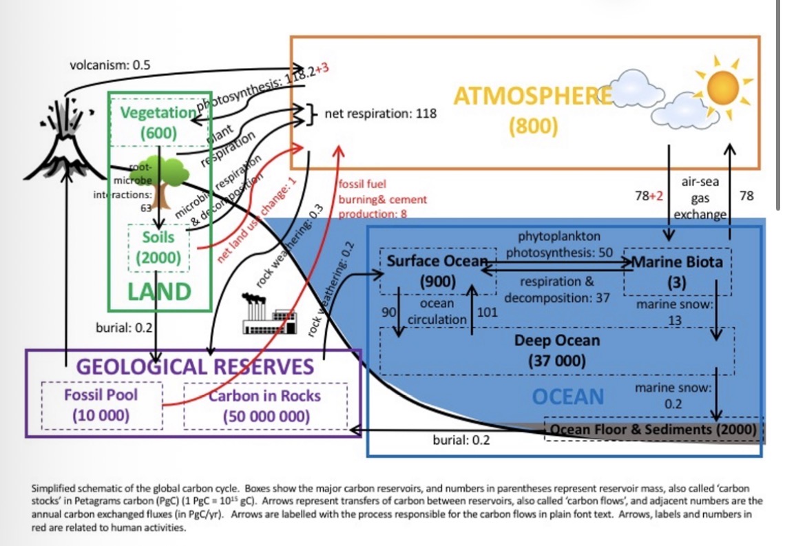 <p>Ocean circulation </p>