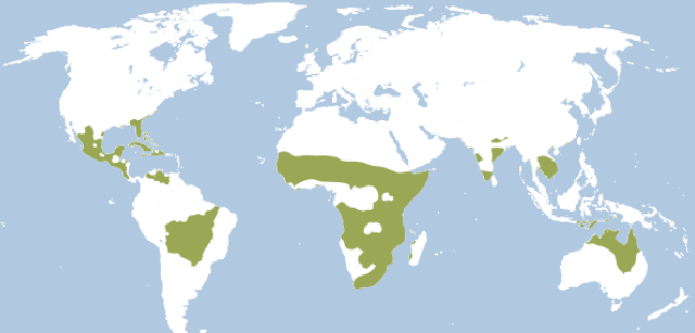 <p>what is the climate of savana?</p><p></p>