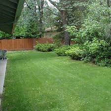 garden/yard
